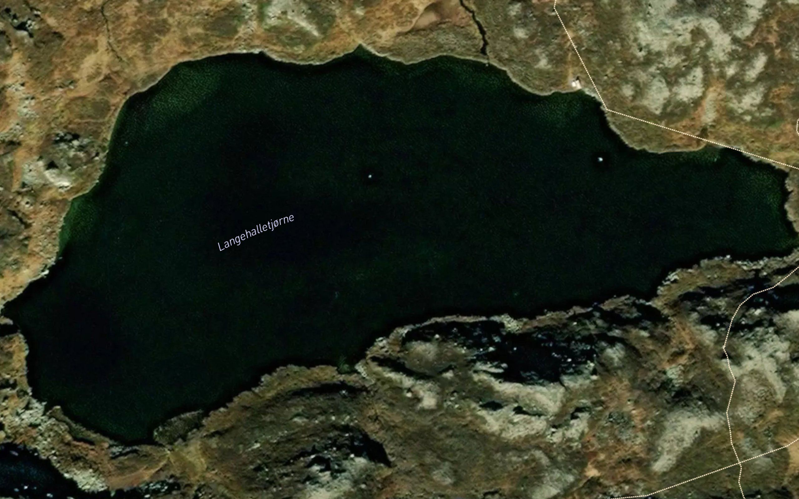 Langehalletjorne