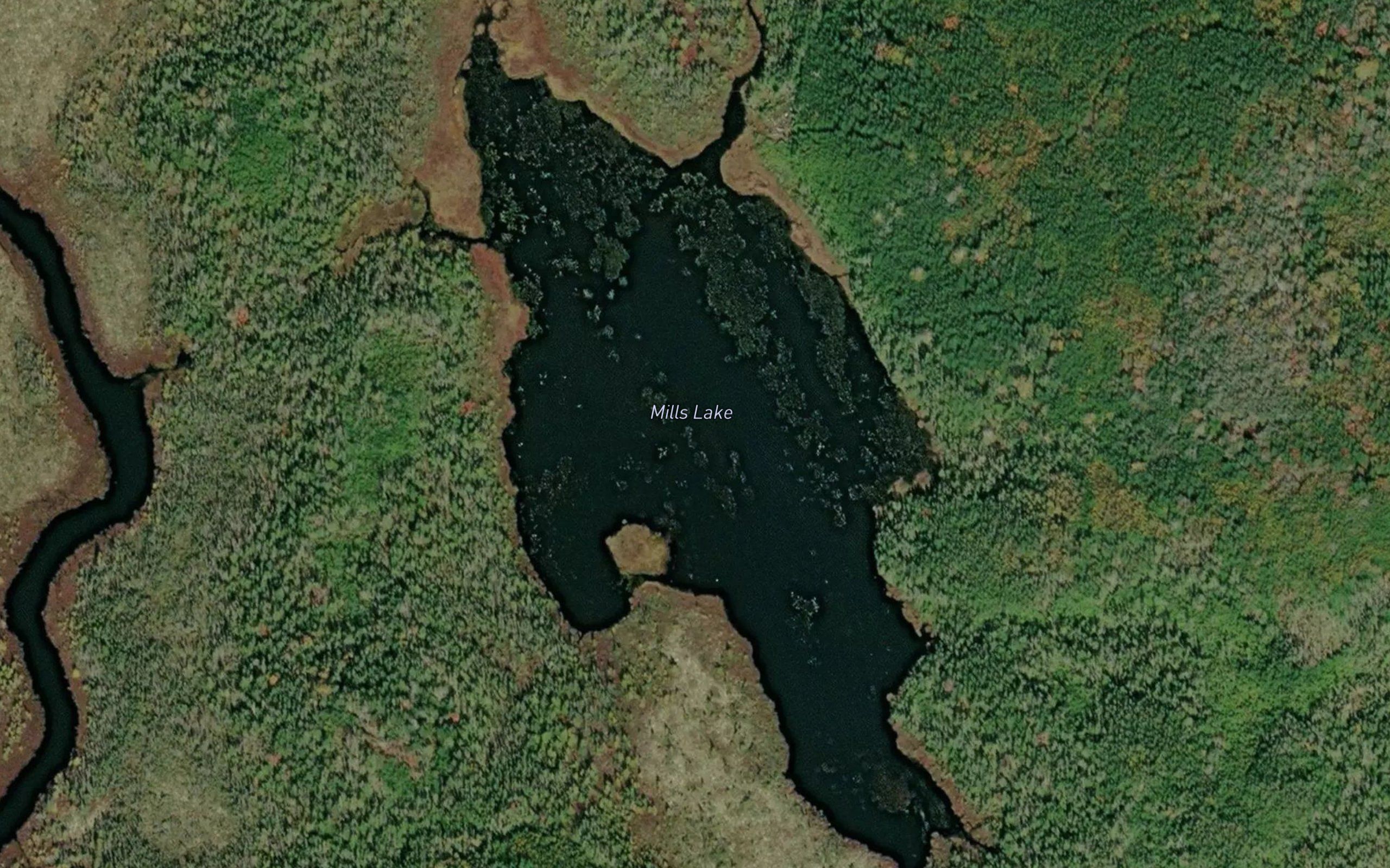 Mills Lake