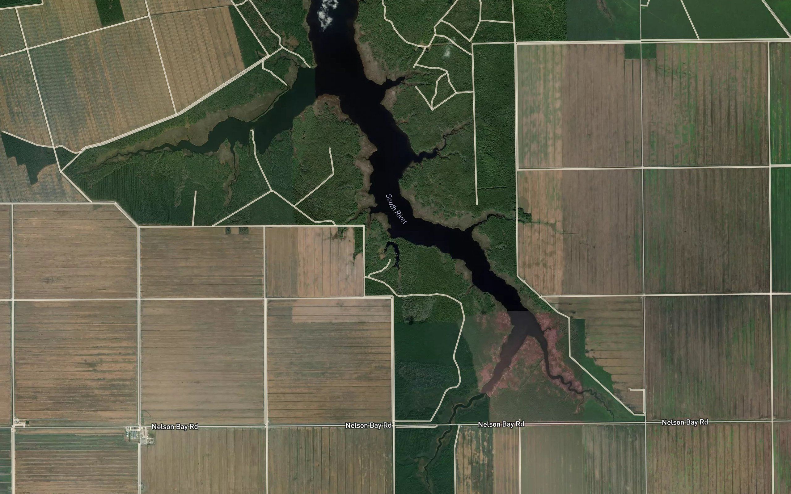 Neal Creek