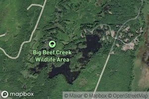 Hintzville Beaver Ponds