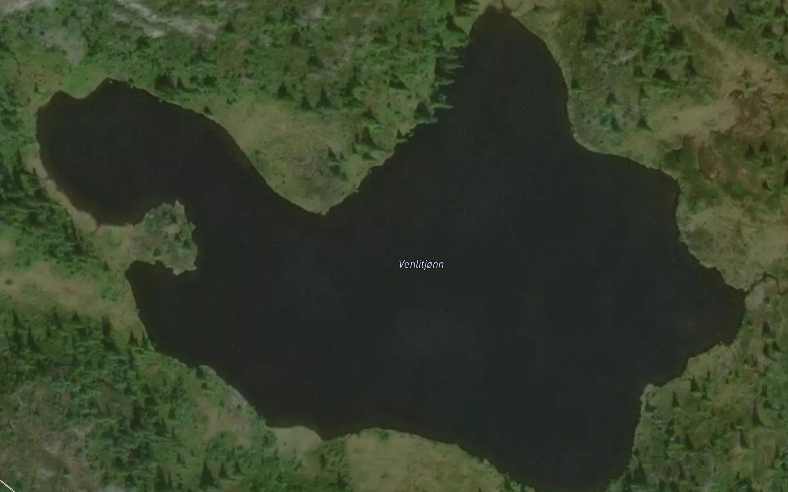 Venelitjorn