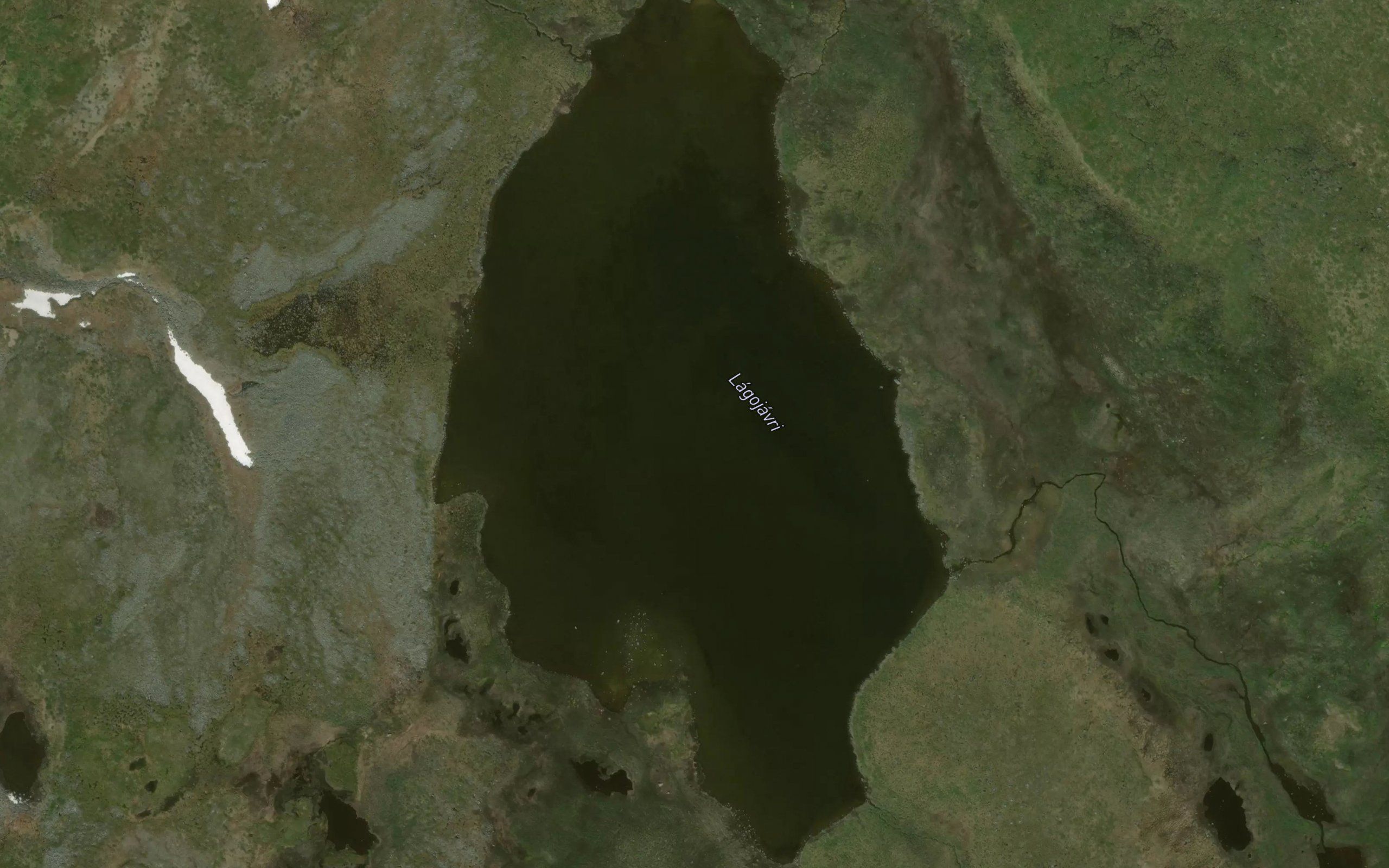 Lagojavri
