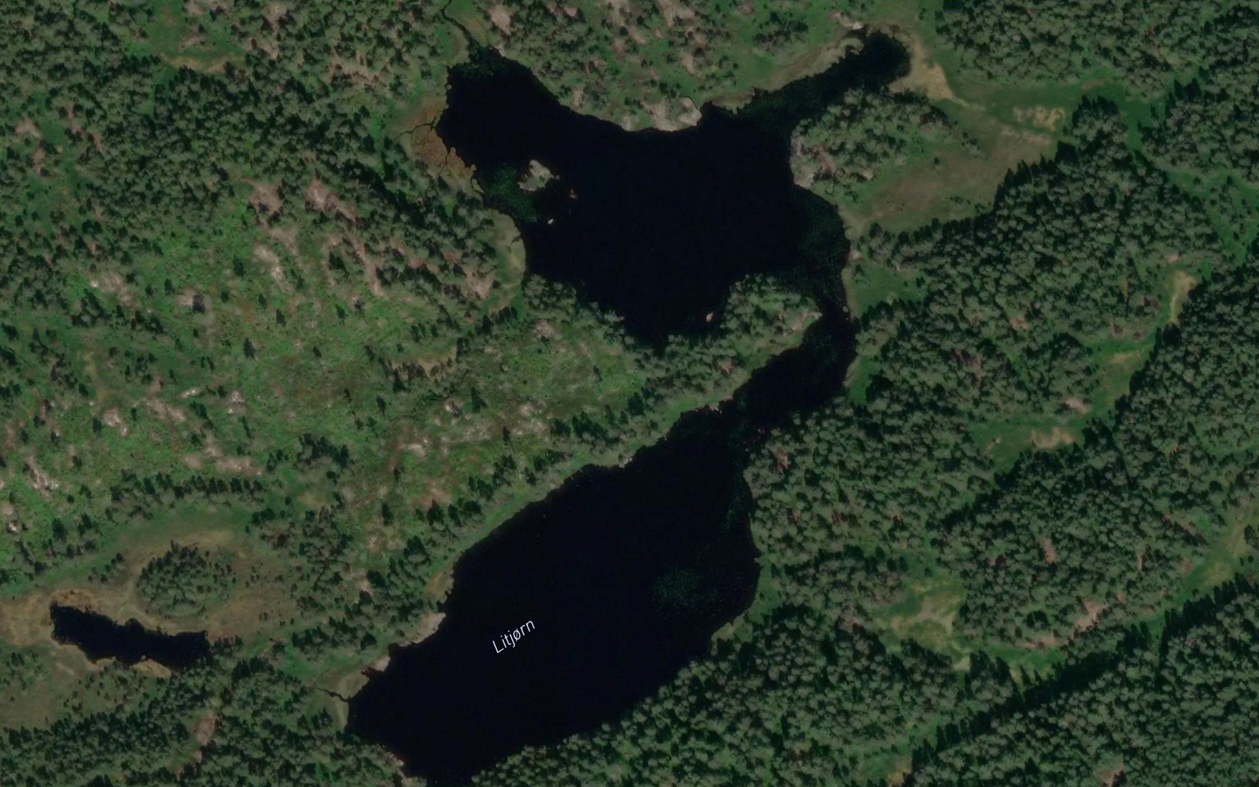 Litjorn