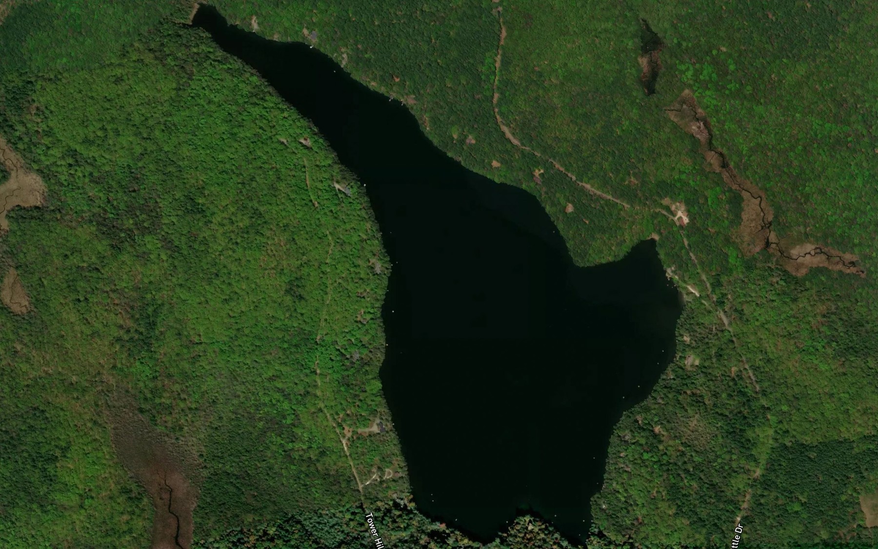 Satellite map of the Doolittle Lake