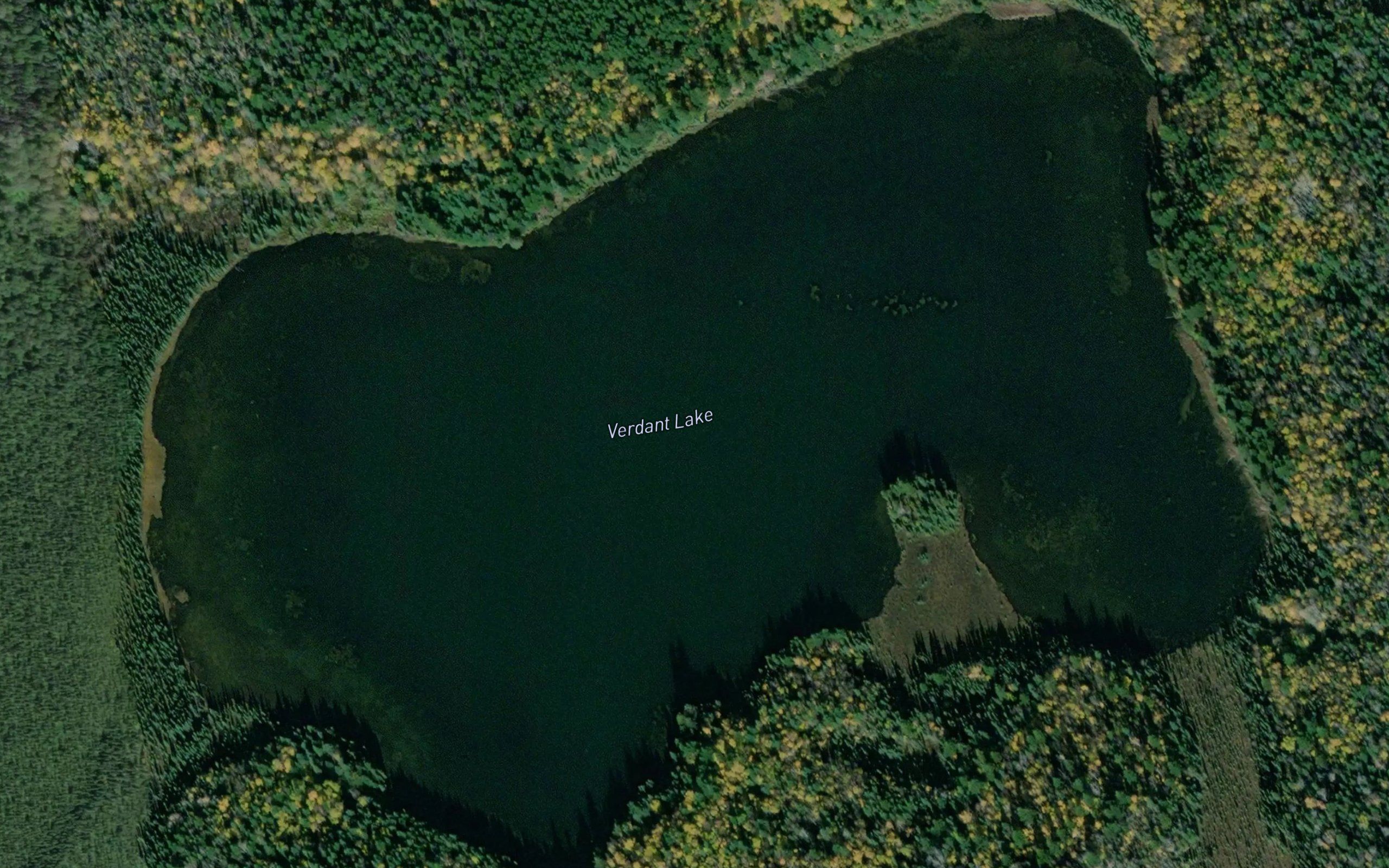 Verdant Lake