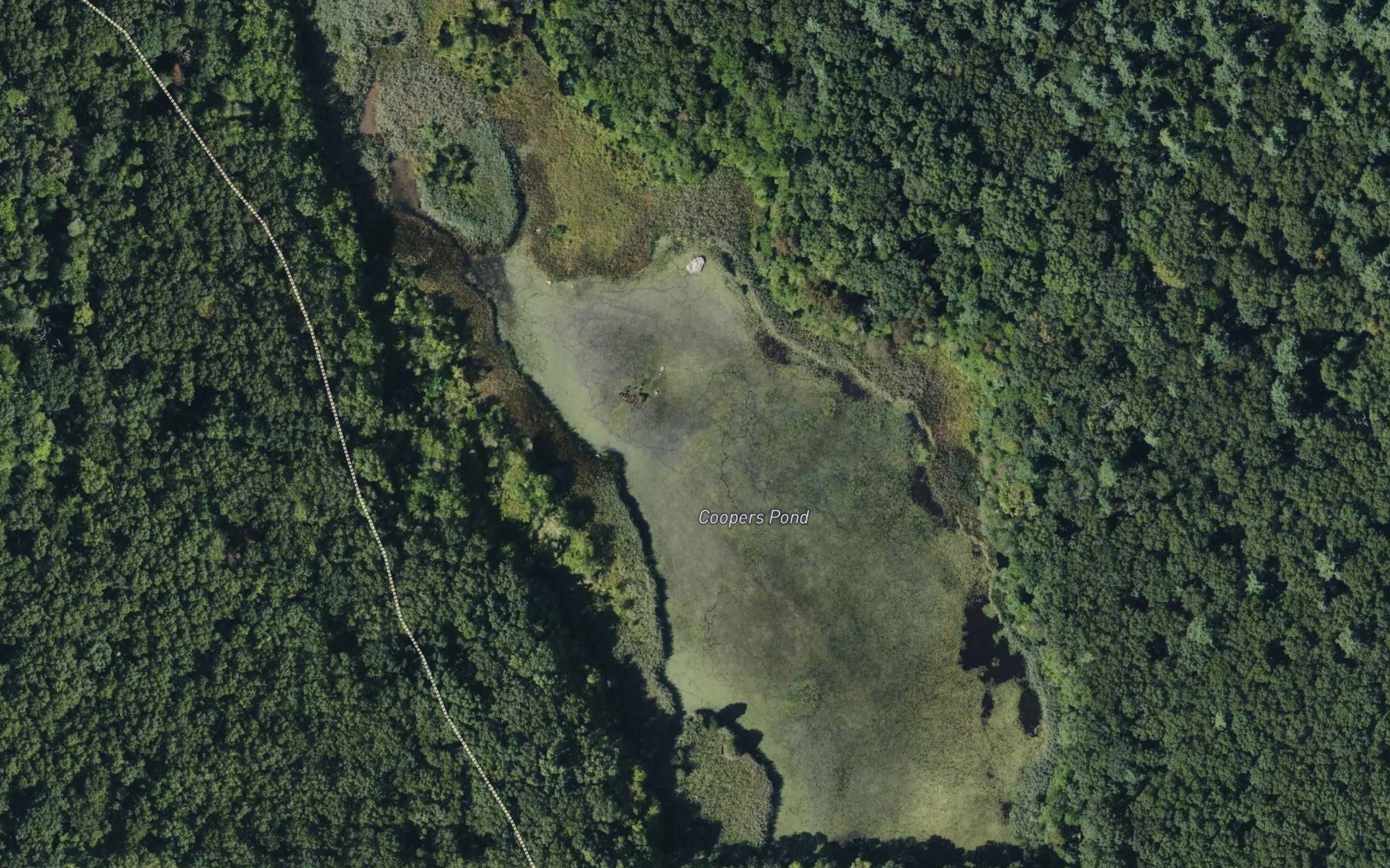 Coopers Pond