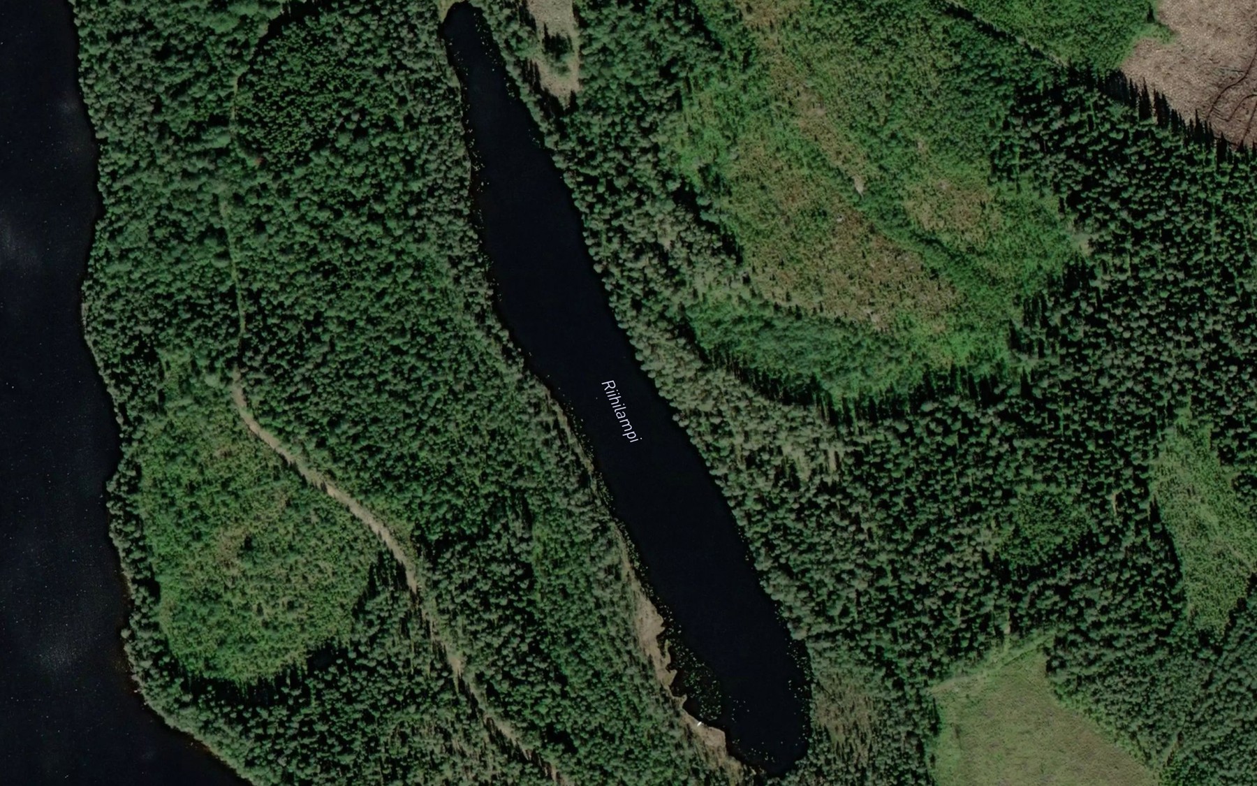 Satellite map of the Riihilampi