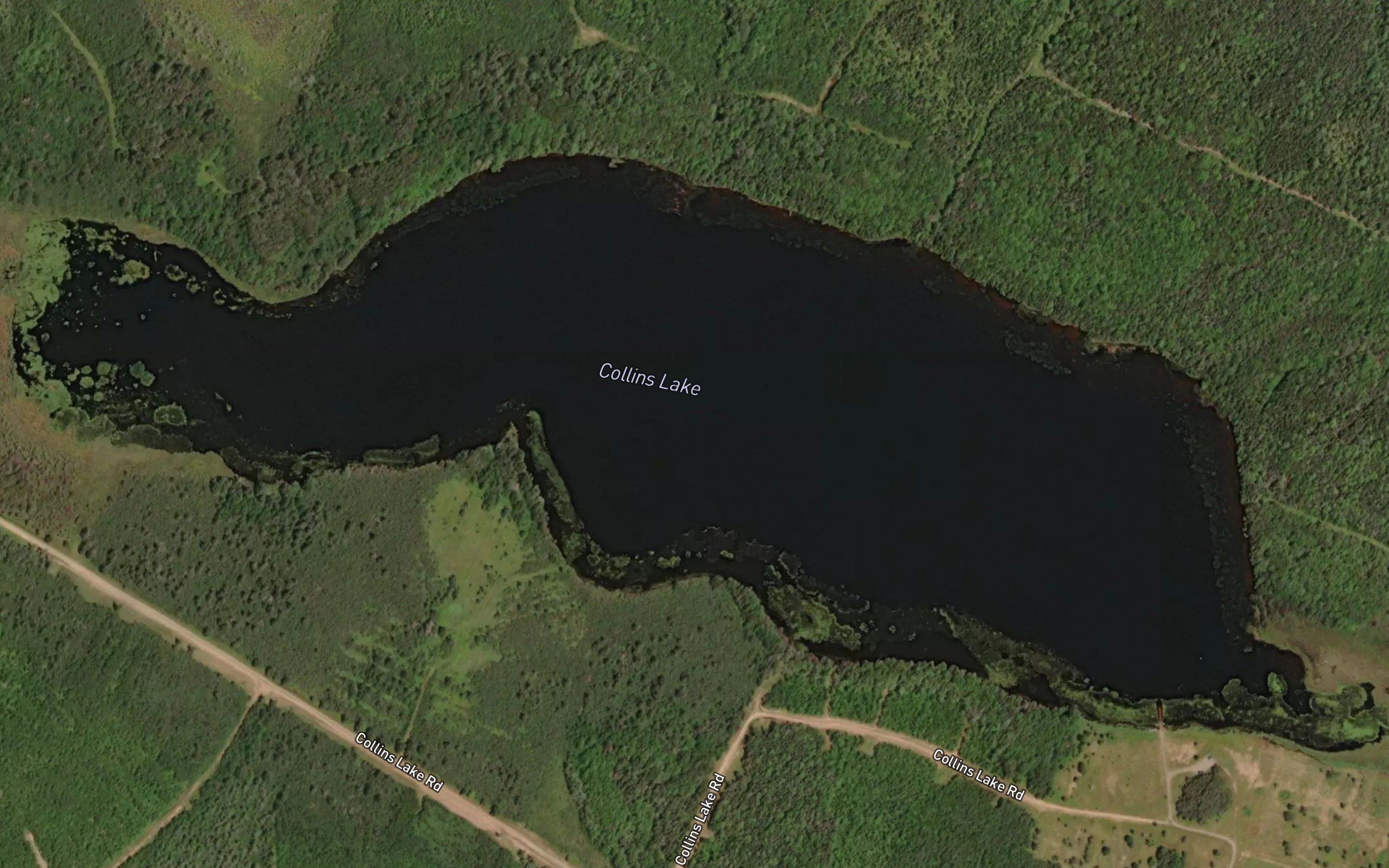 Collins Lake