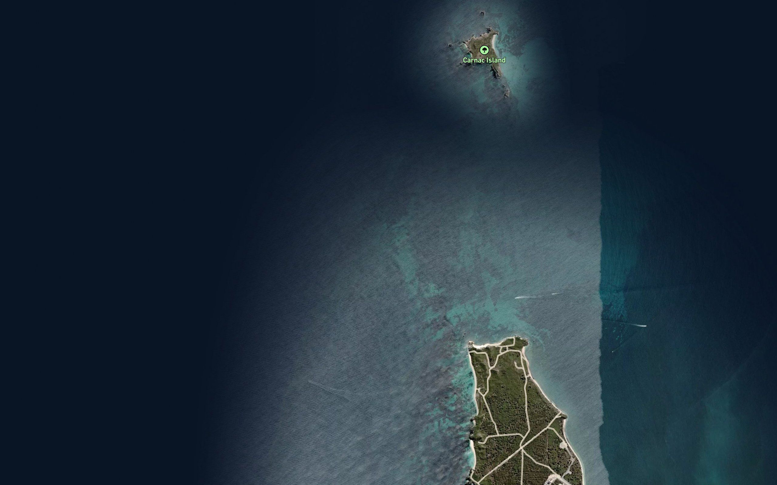 Sea Reef