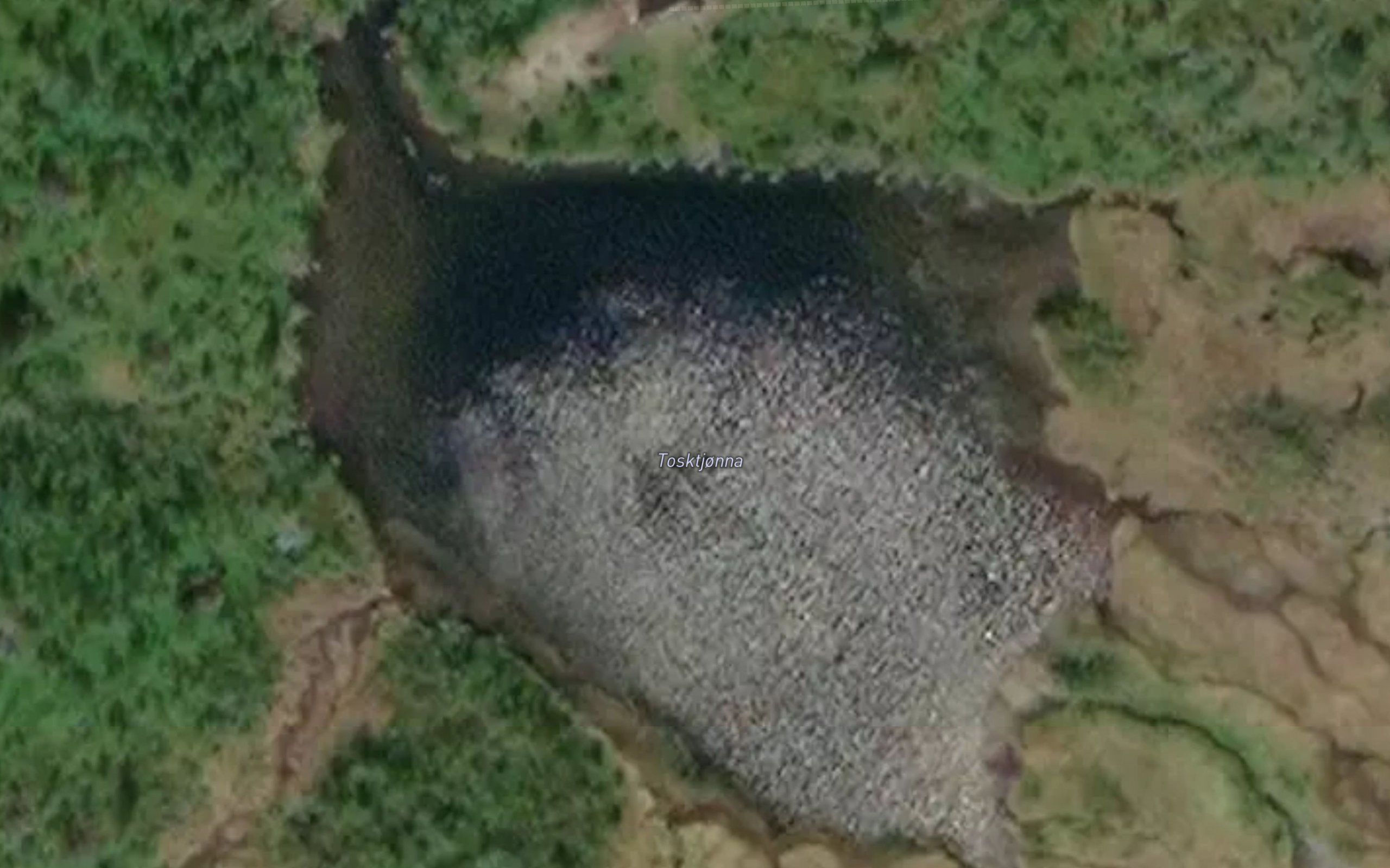 Tosktjonna