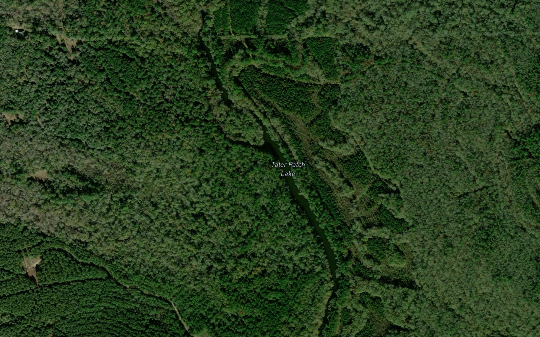 Satellite map of the McGallion Lake