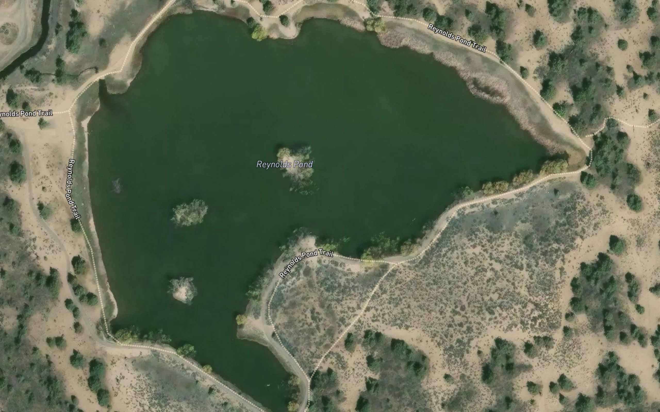 Reynolds Pond