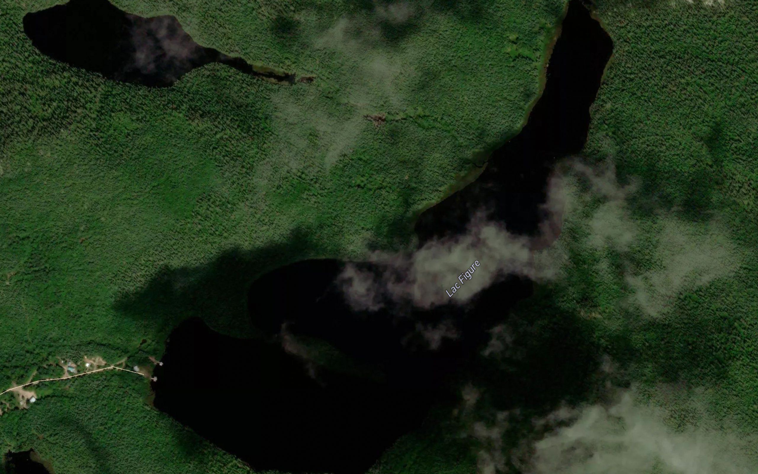 Lac Figure