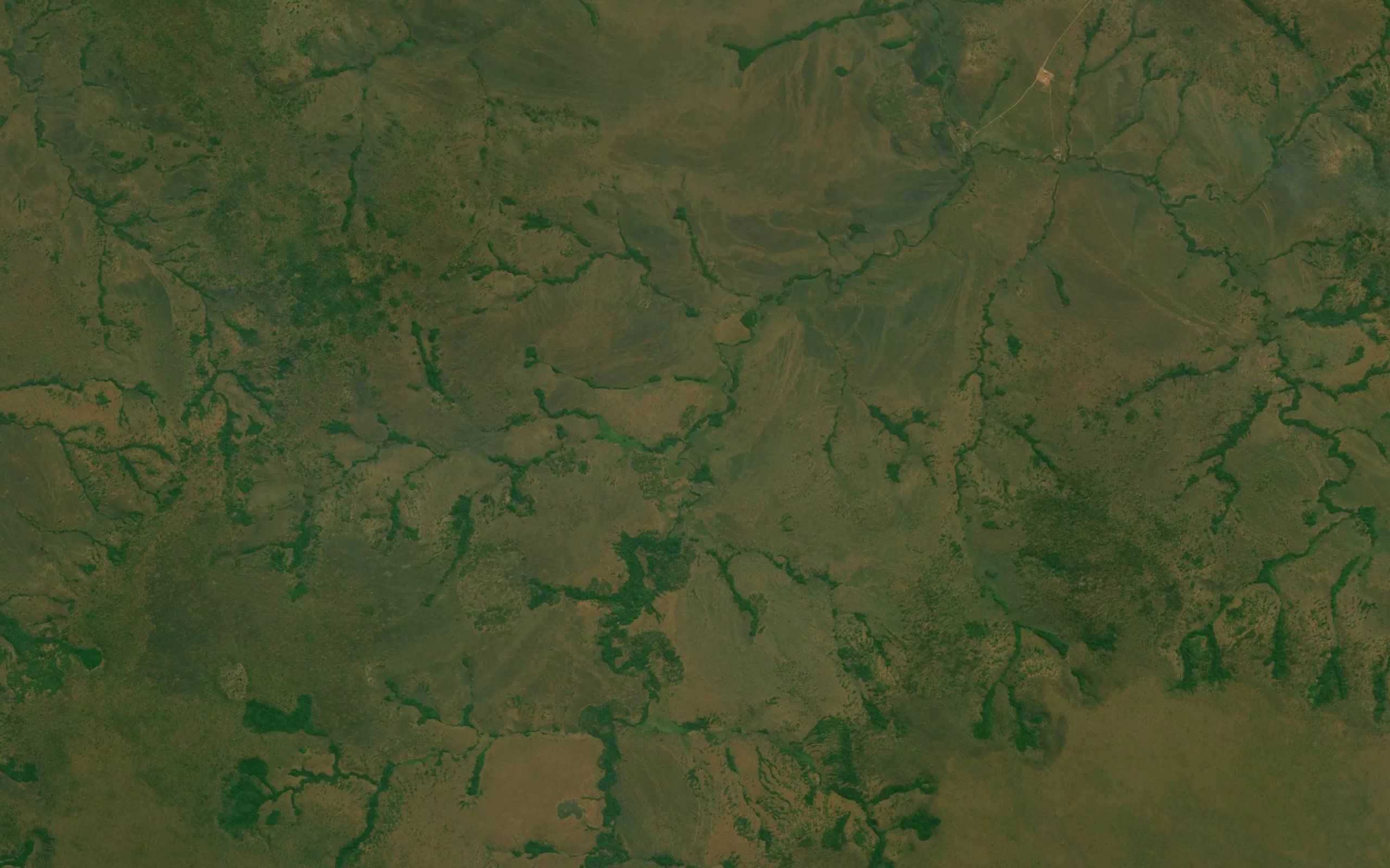 Tchitengi