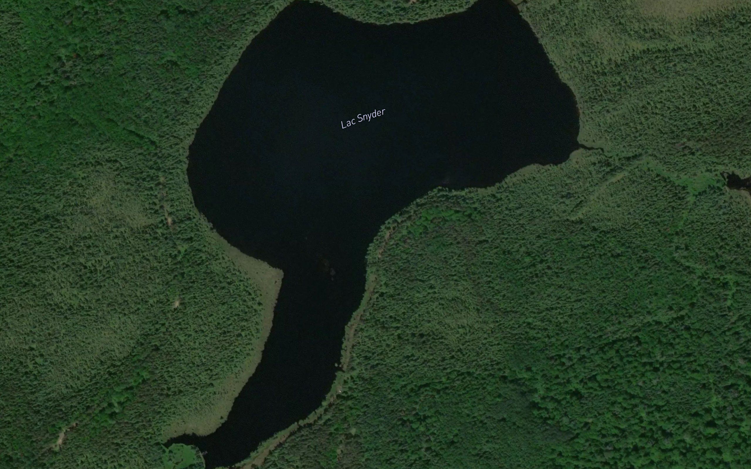 Lac Snyder
