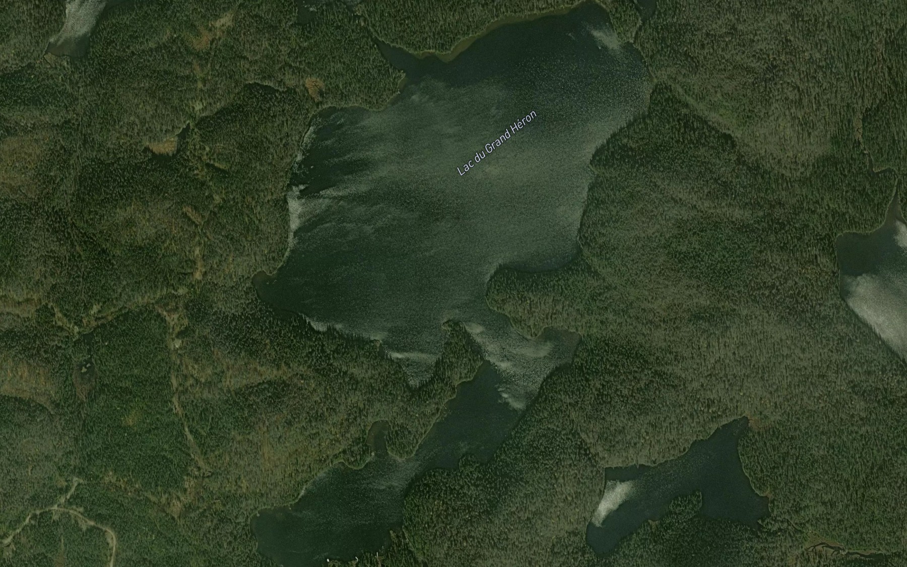Satellite map of the Lac du Grand Heron