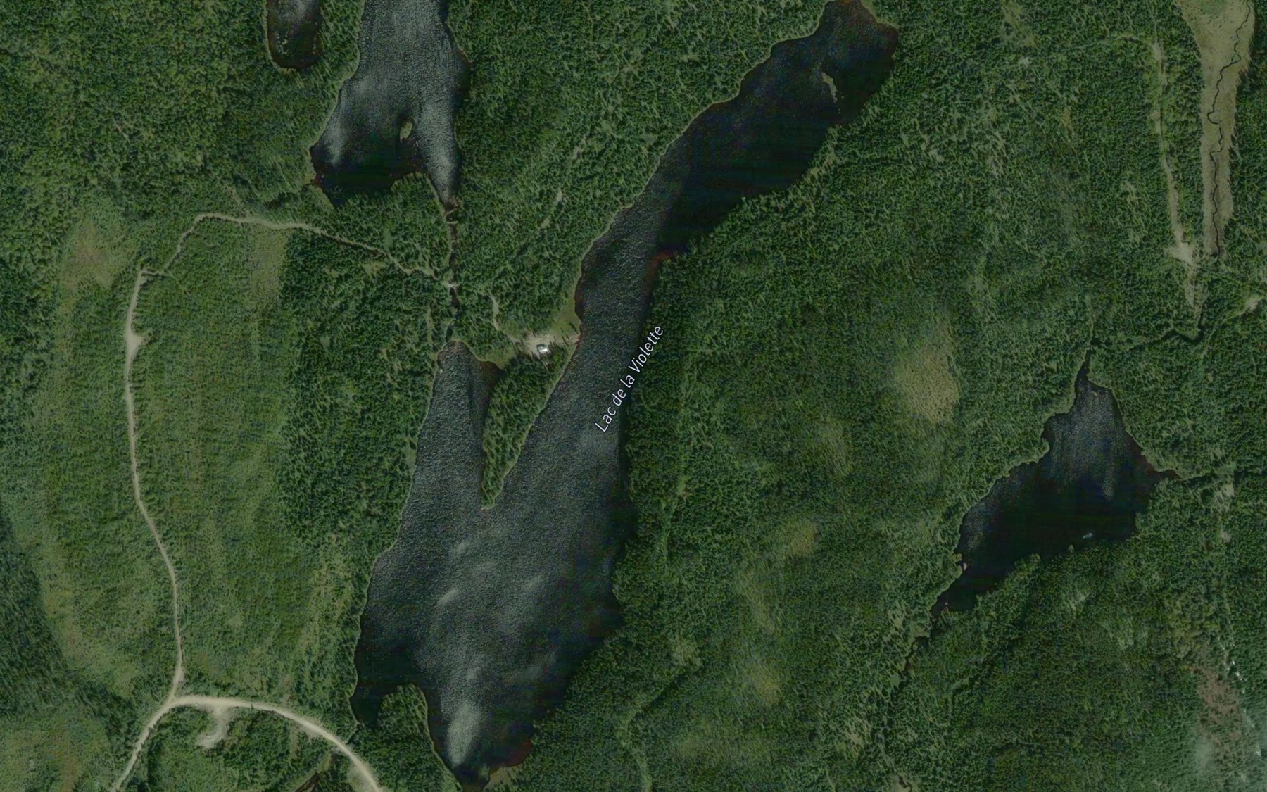 Satellite map of the Lac de la Violette