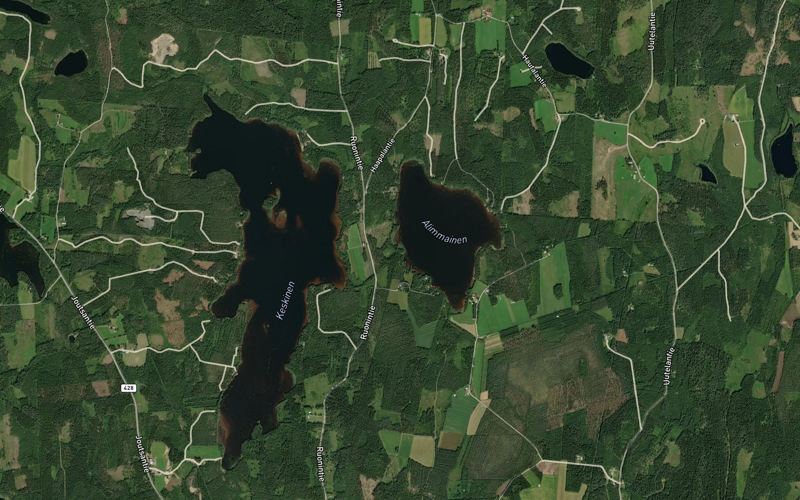 Paavolanjoki