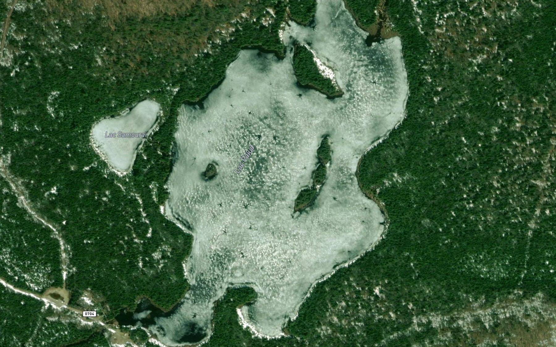 Satellite map of the Lac Palud