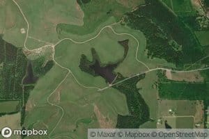Reedy Pond