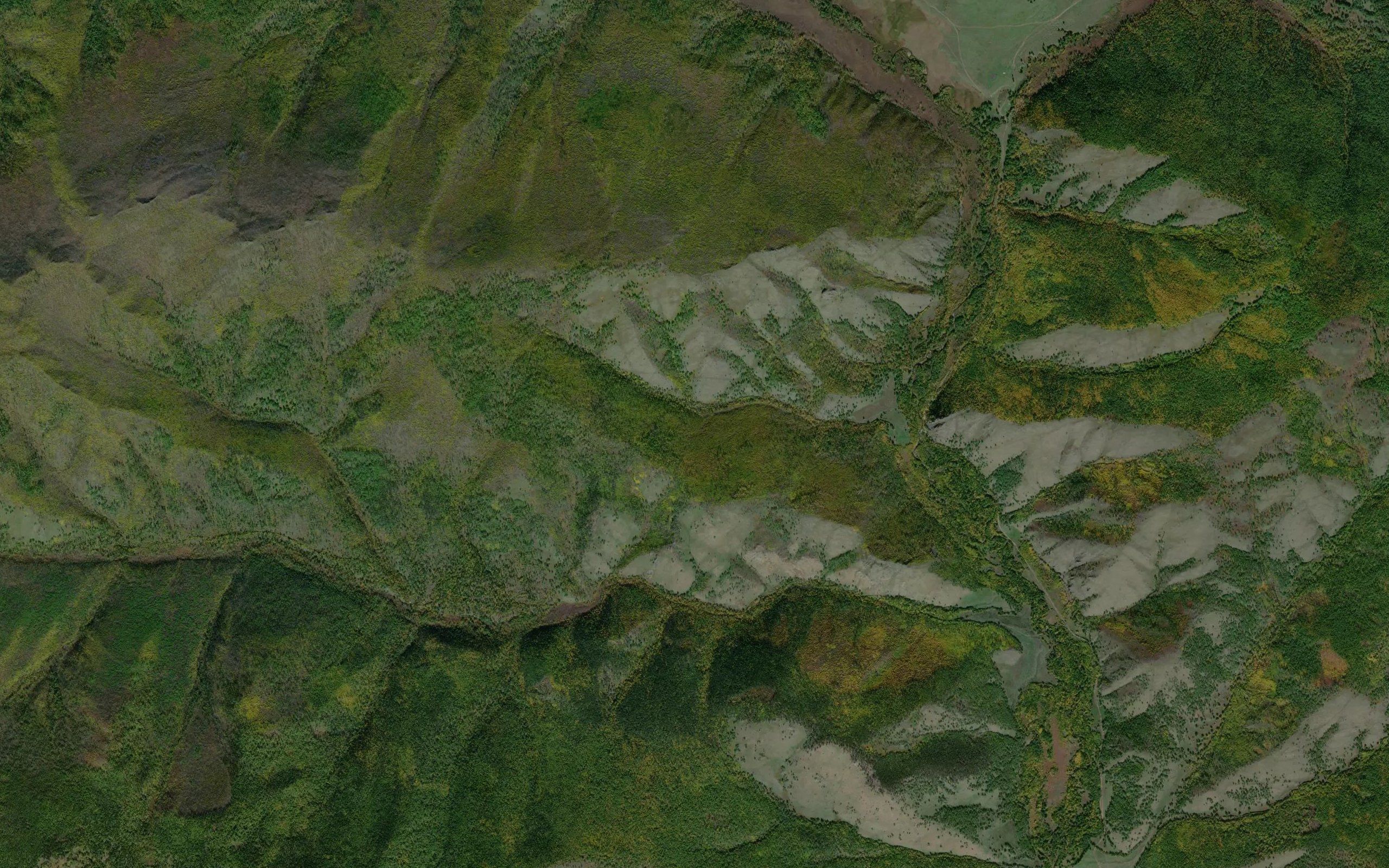 Pad' Shuluta