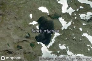 Storburtjorna