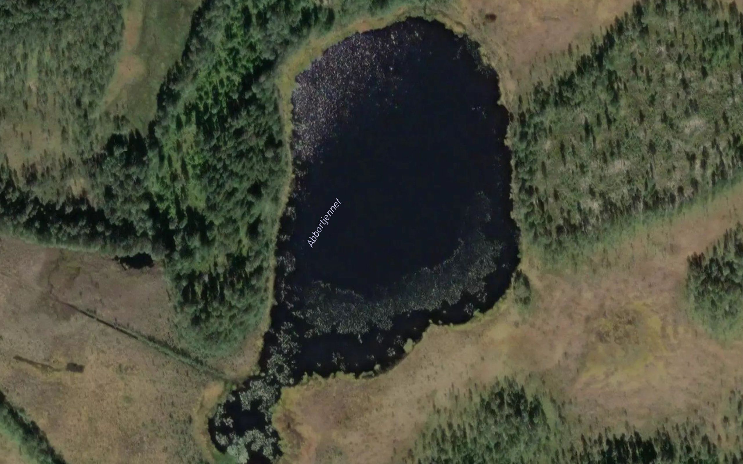 Abbortjernet
