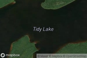 Tidy Lake