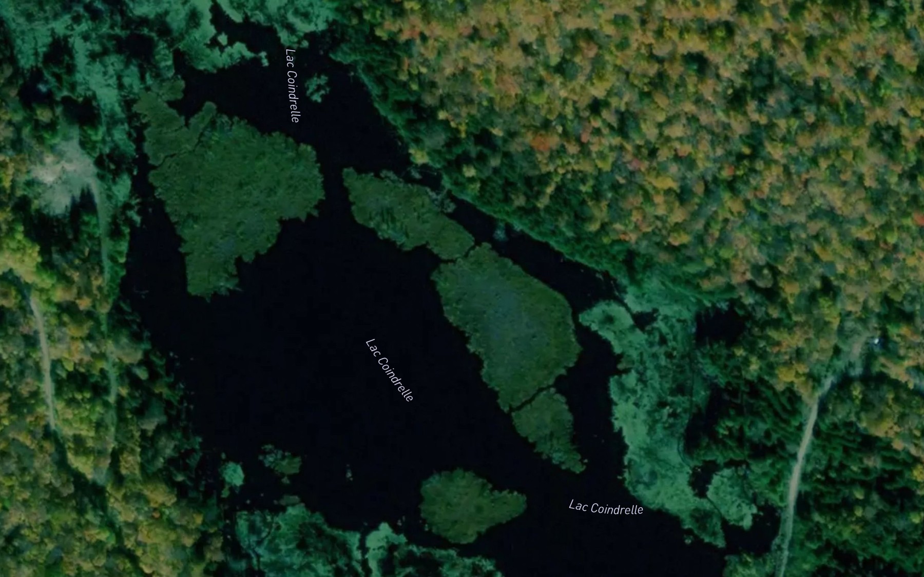 Satellite map of the Lac Coindrelle