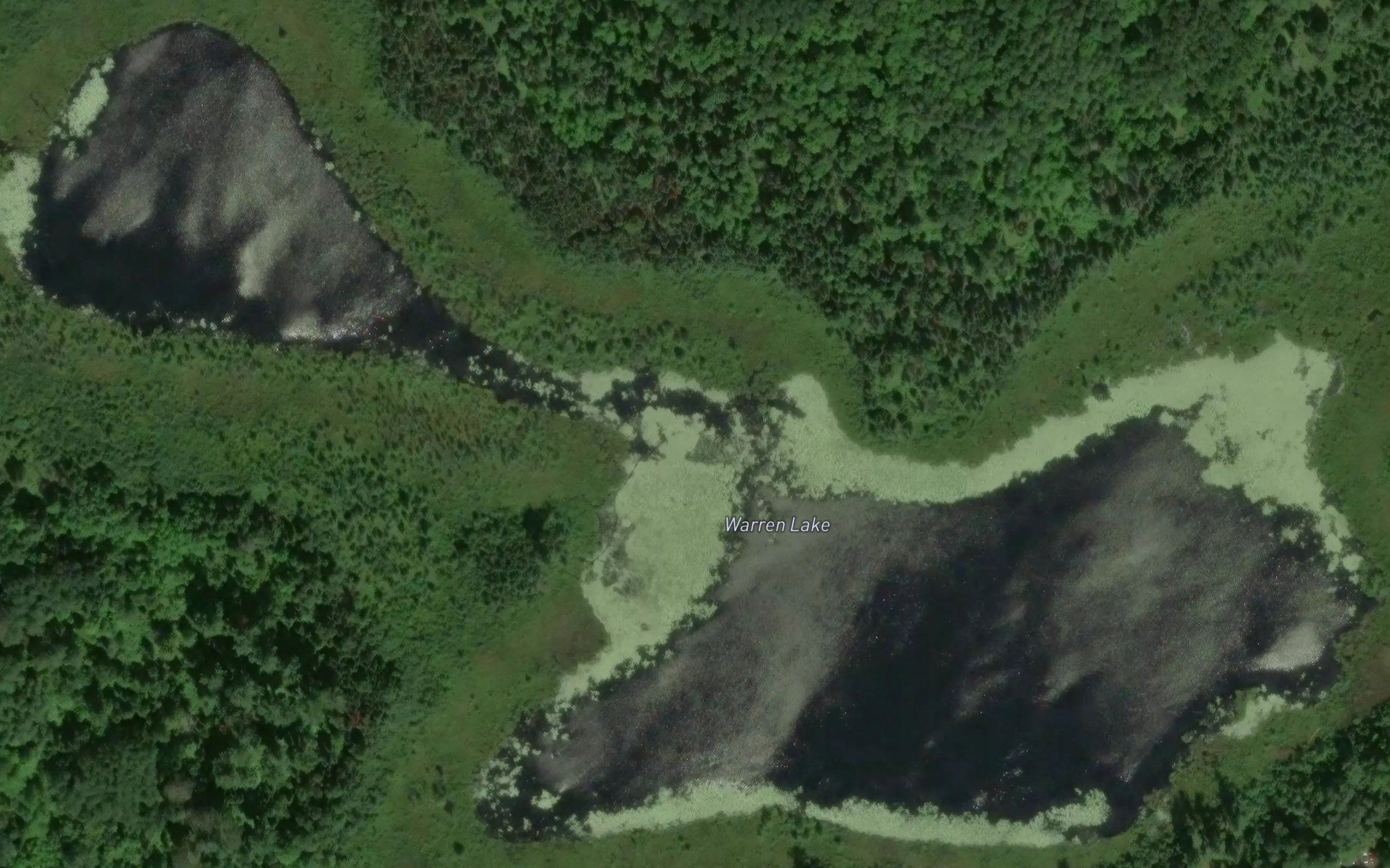 Warren Lake