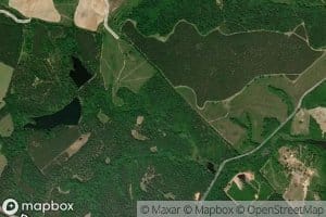 Faulk Lake East
