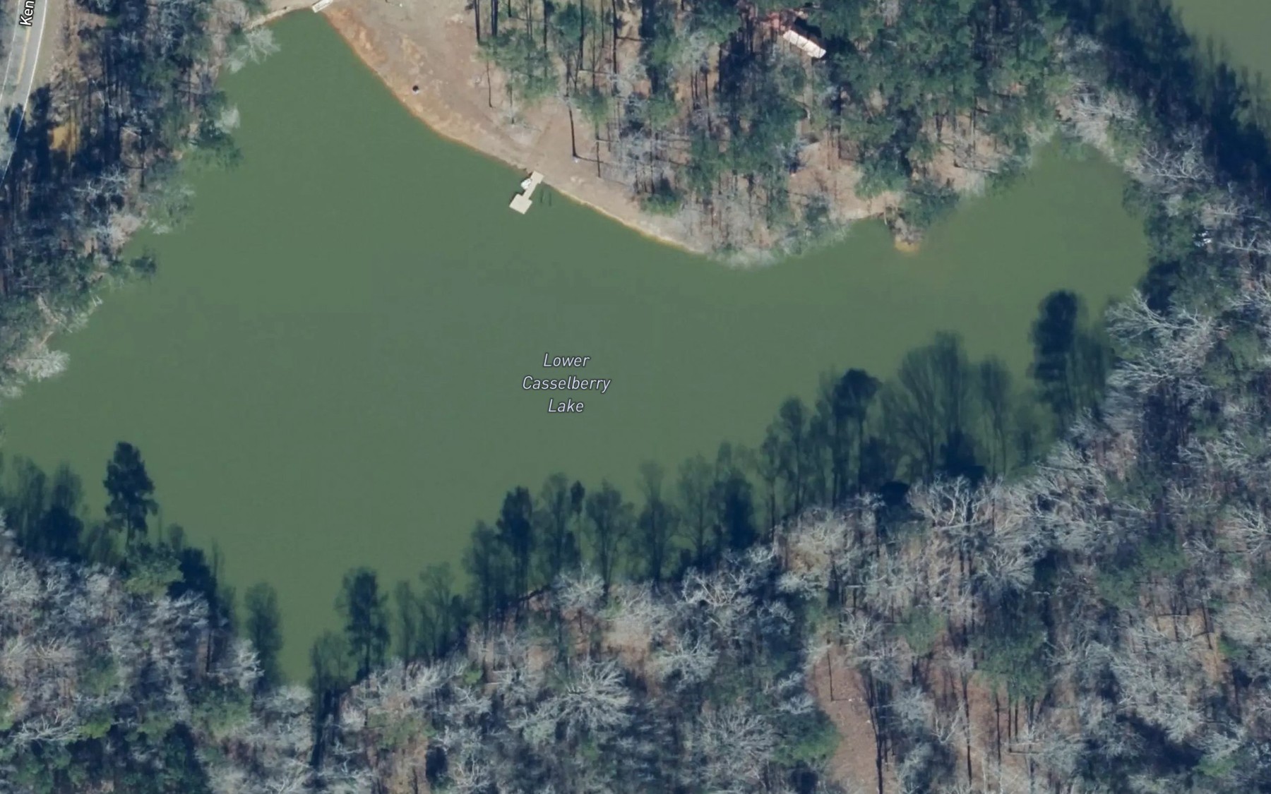 Satellite map of the Lower Casselberry Lake