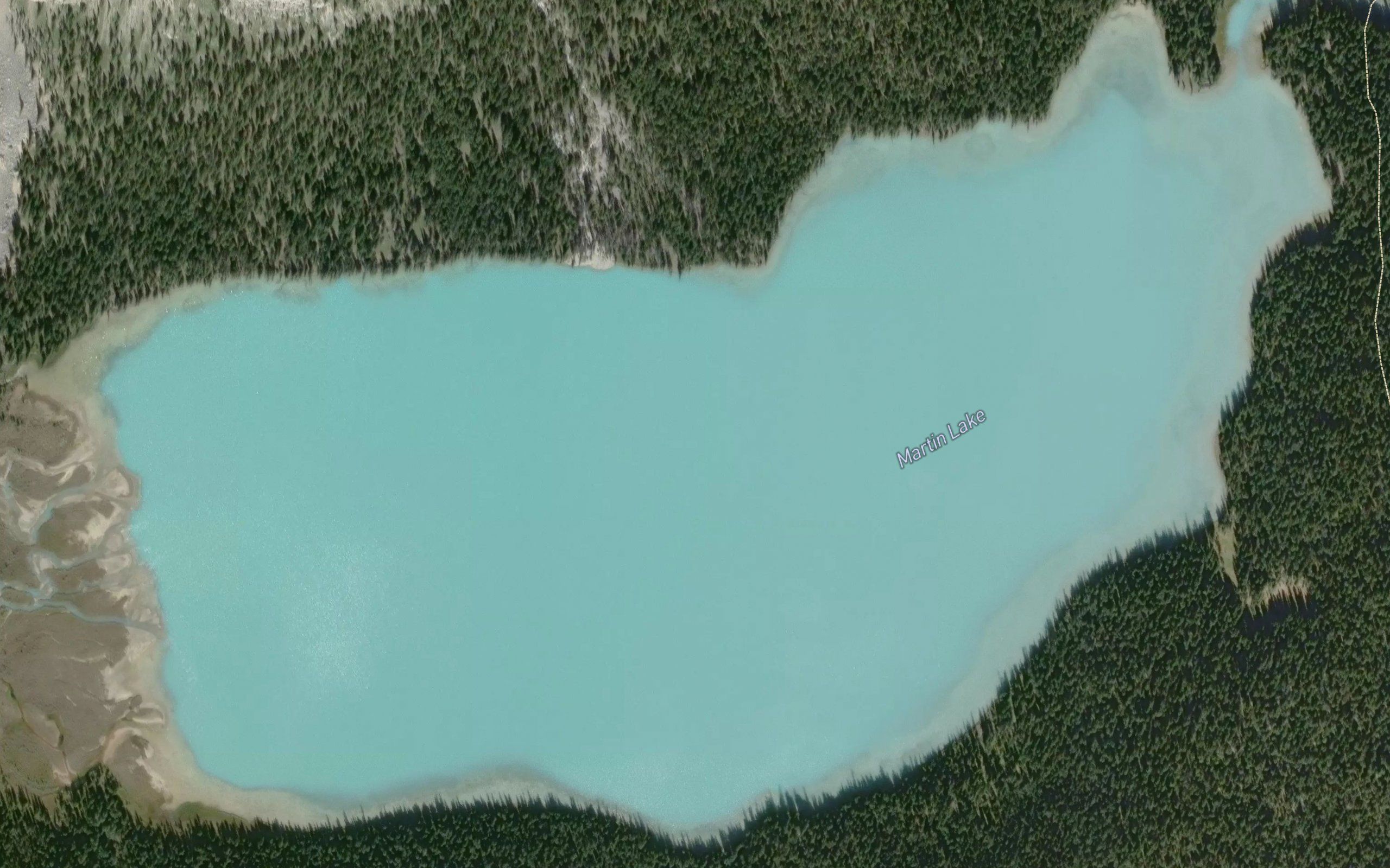 Martin Lake