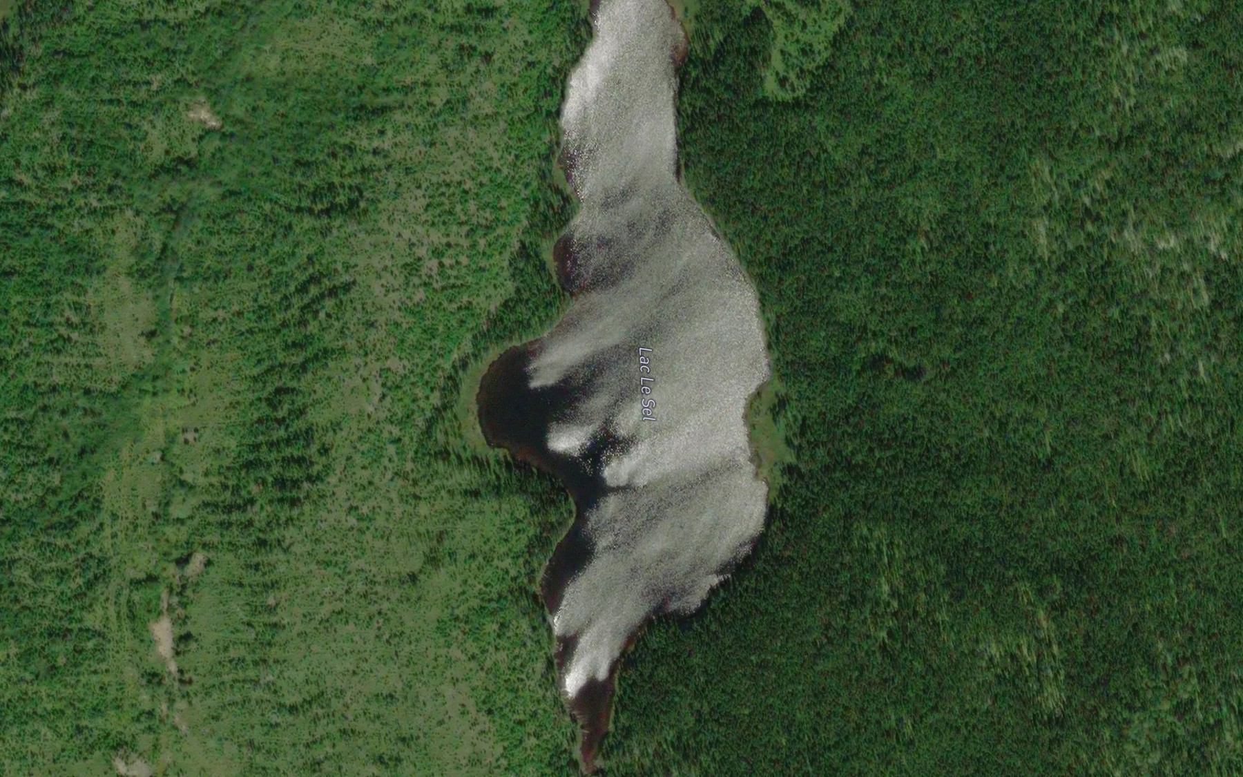 Satellite map of the Lac Le Sel