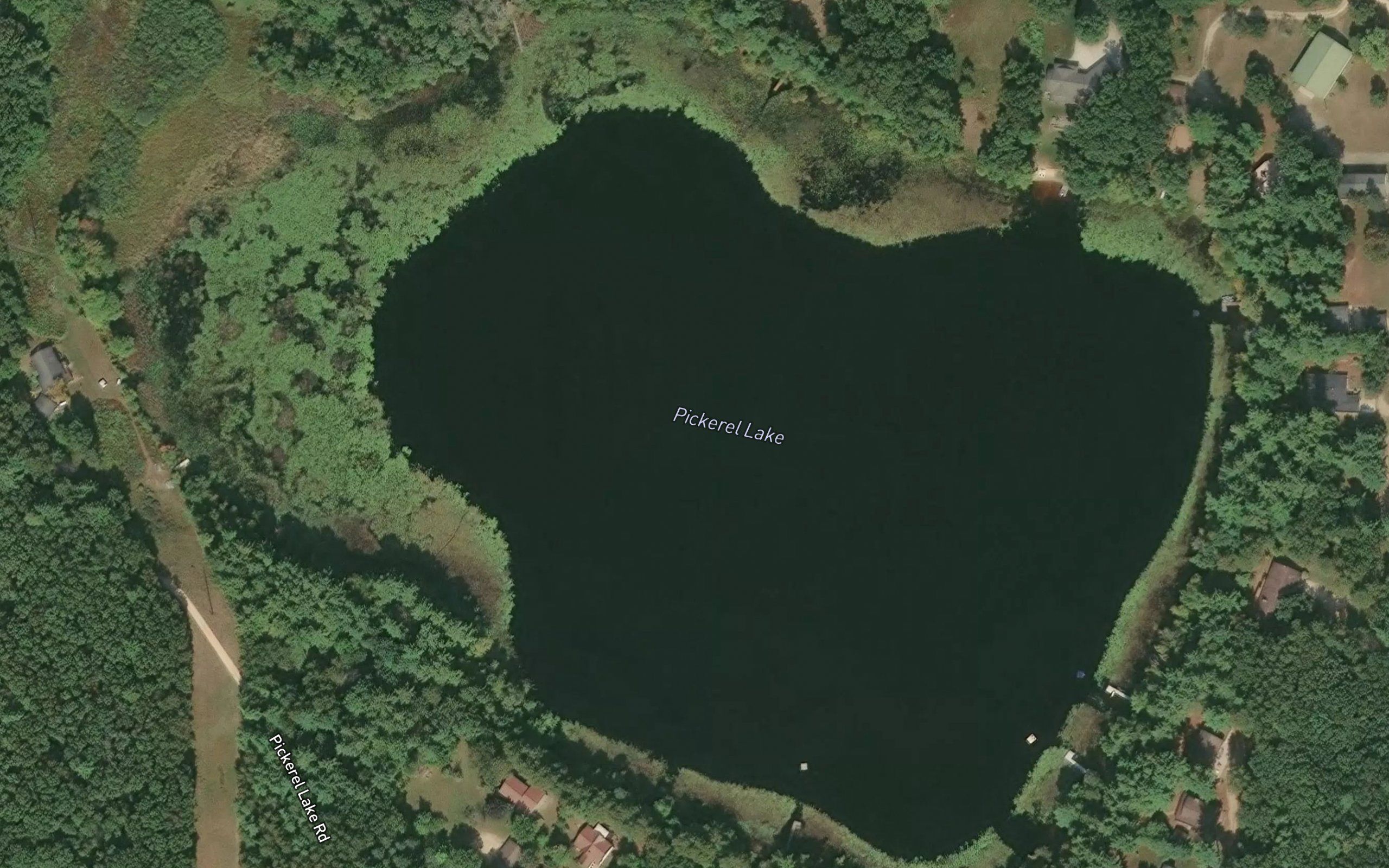 Pickerel Lake