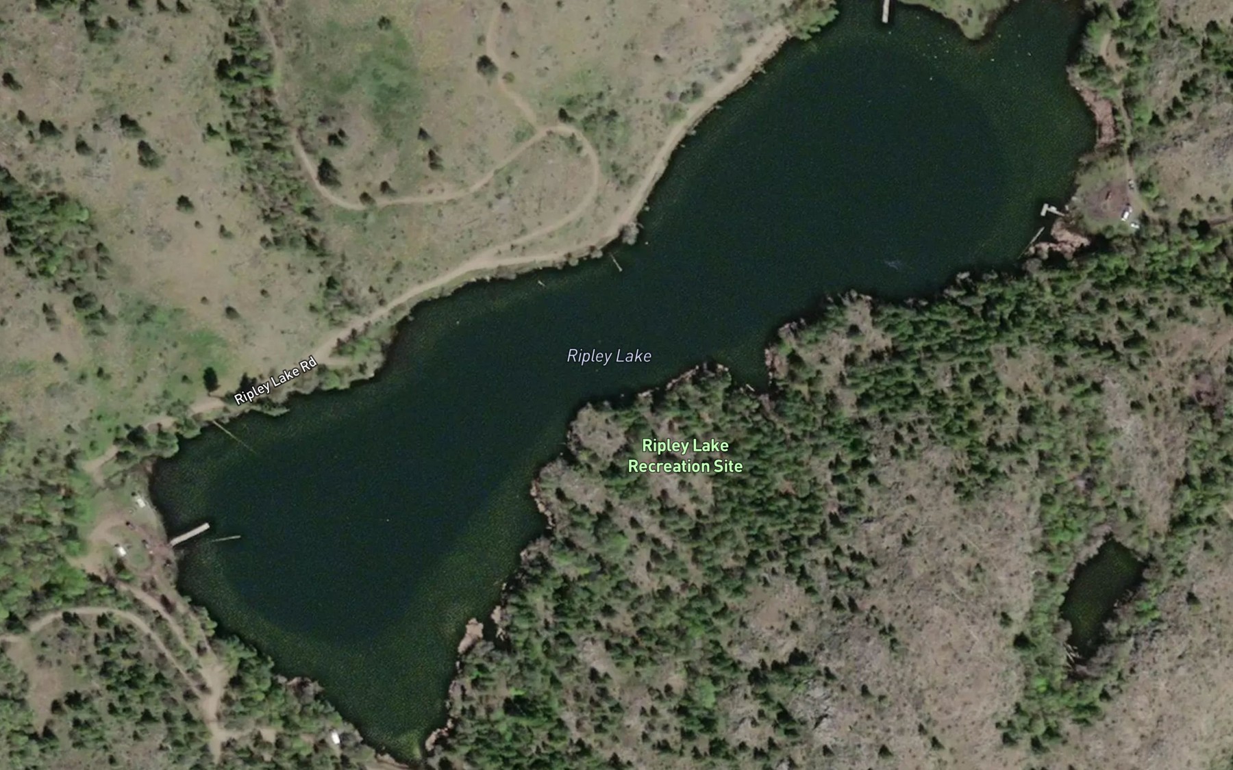 Satellite map of the Ripley Lake