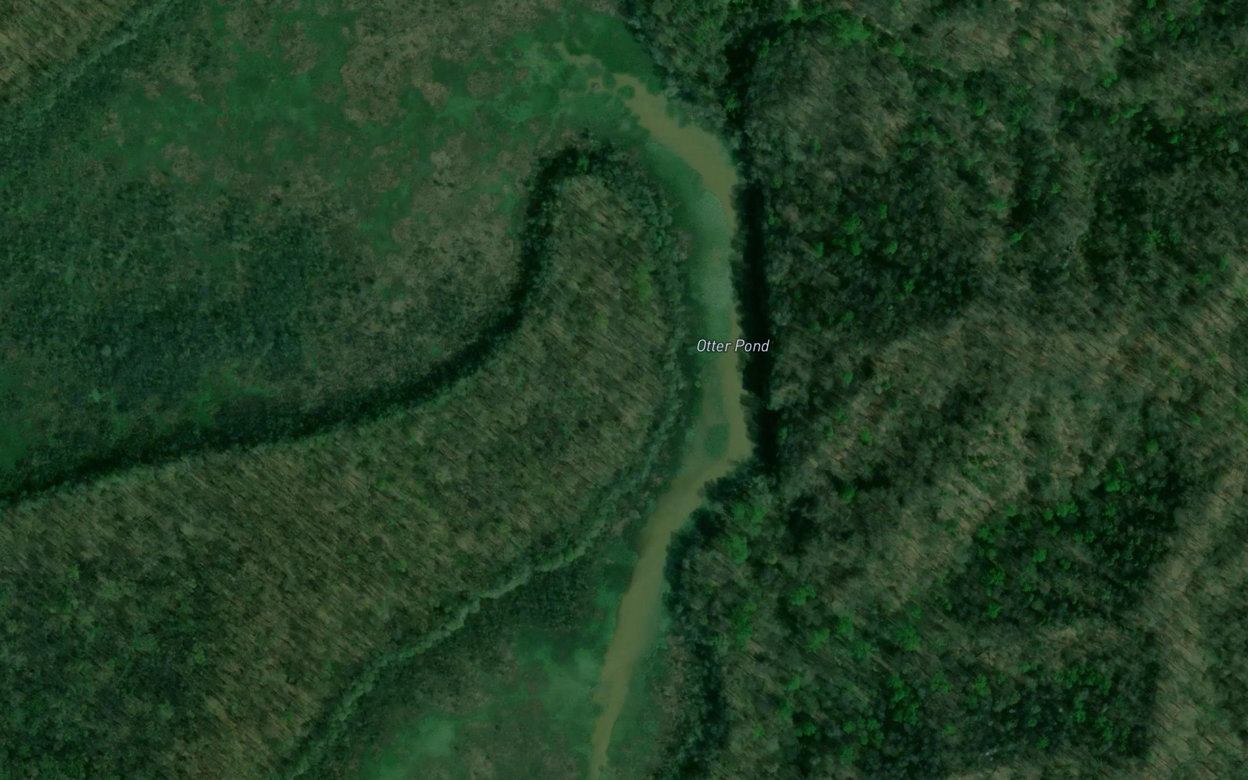Otter Pond