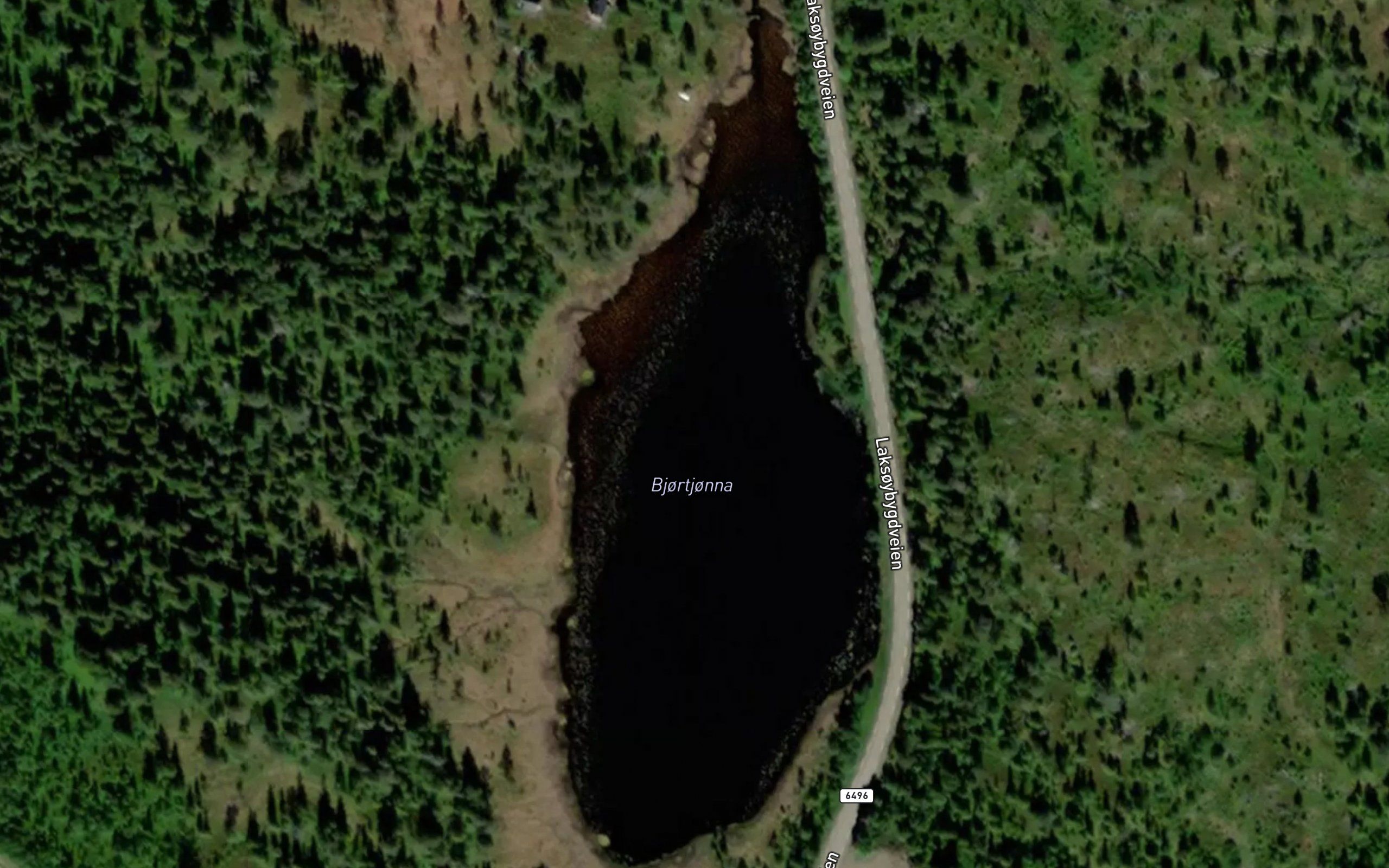 Bjortjorna