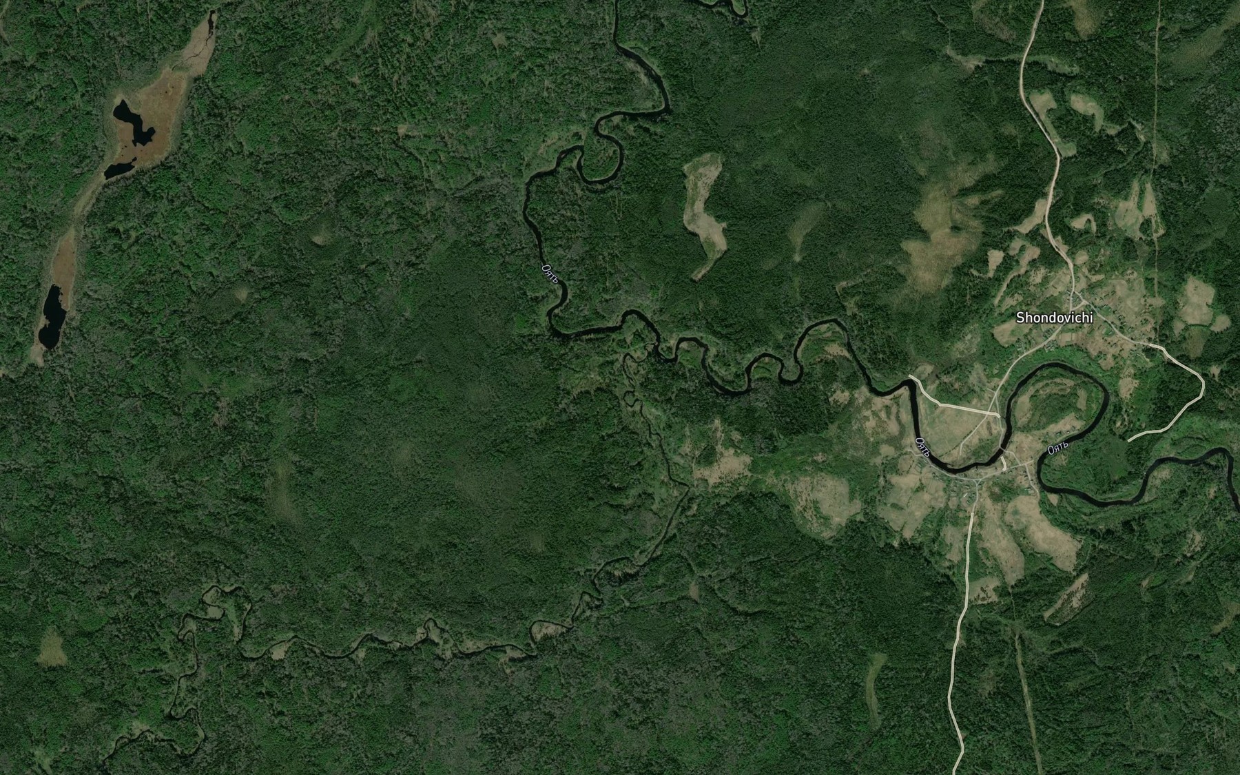 Satellite map of the Nizhnyaya Kurba