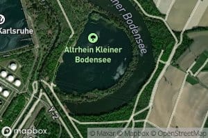 Altrhein Kleiner Bodensee