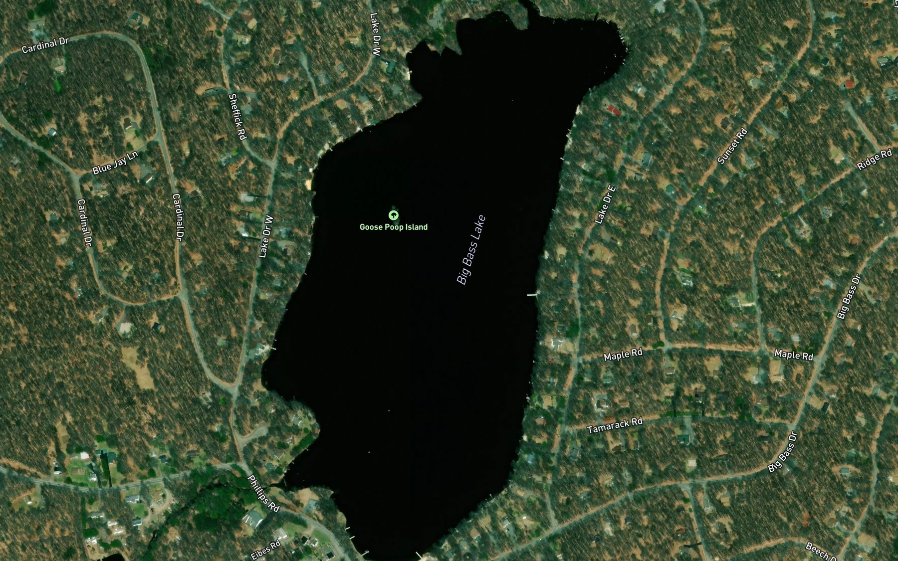 Satellite map of the Big Bass Lake
