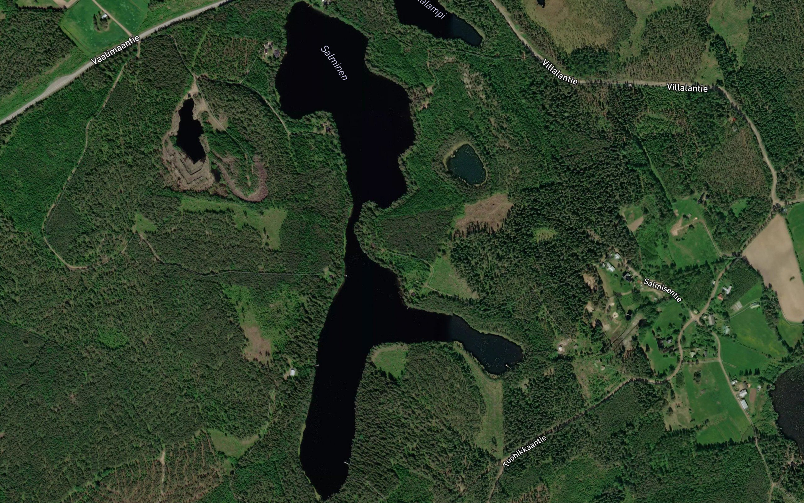 Salminen