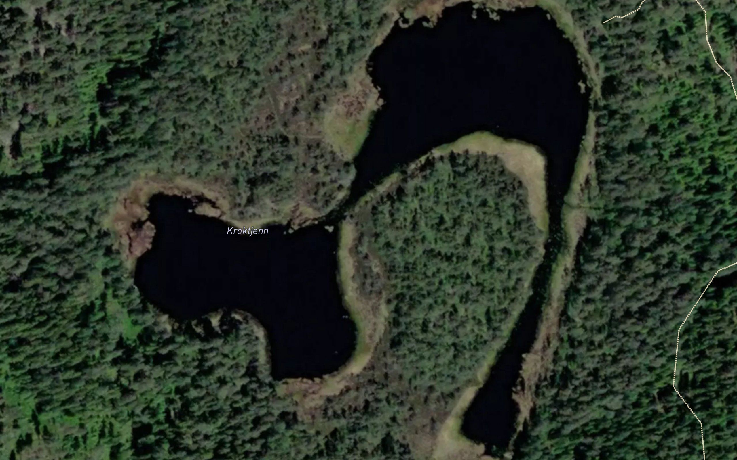 Kroktjern