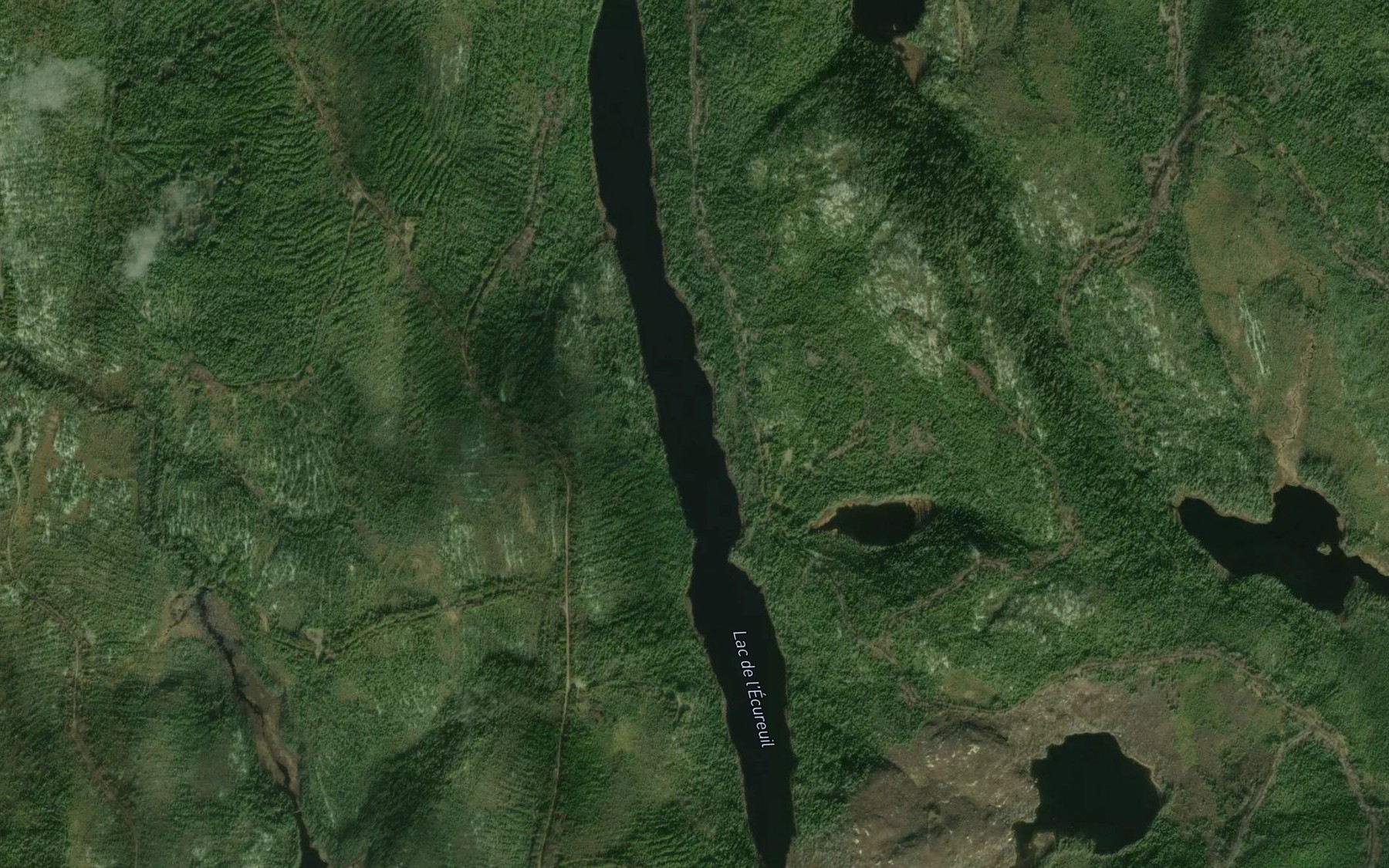 Satellite map of the Lac de l'Ecureuil