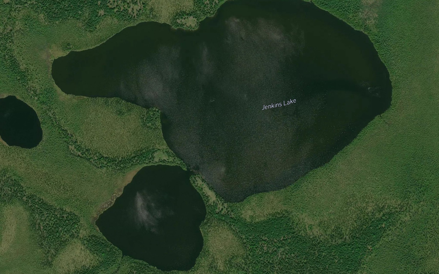 Satellite map of the Jenkins Lake