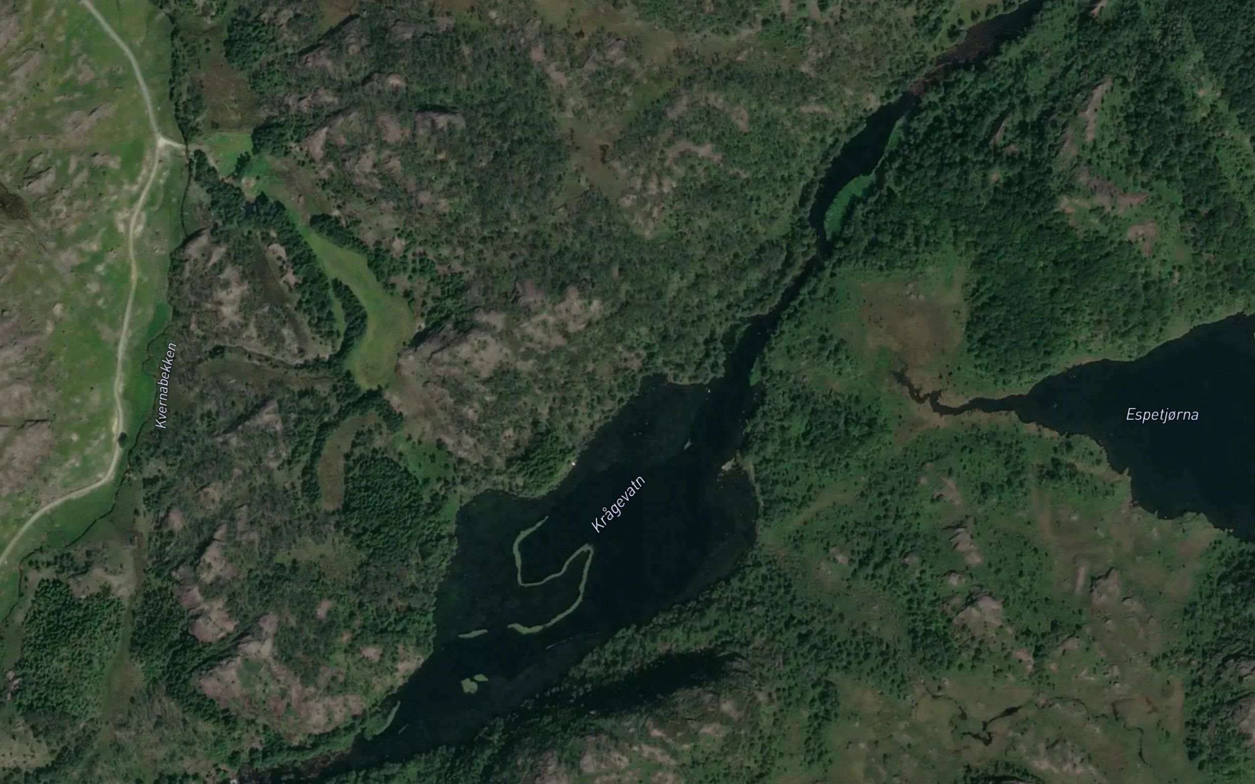 Kragevatn