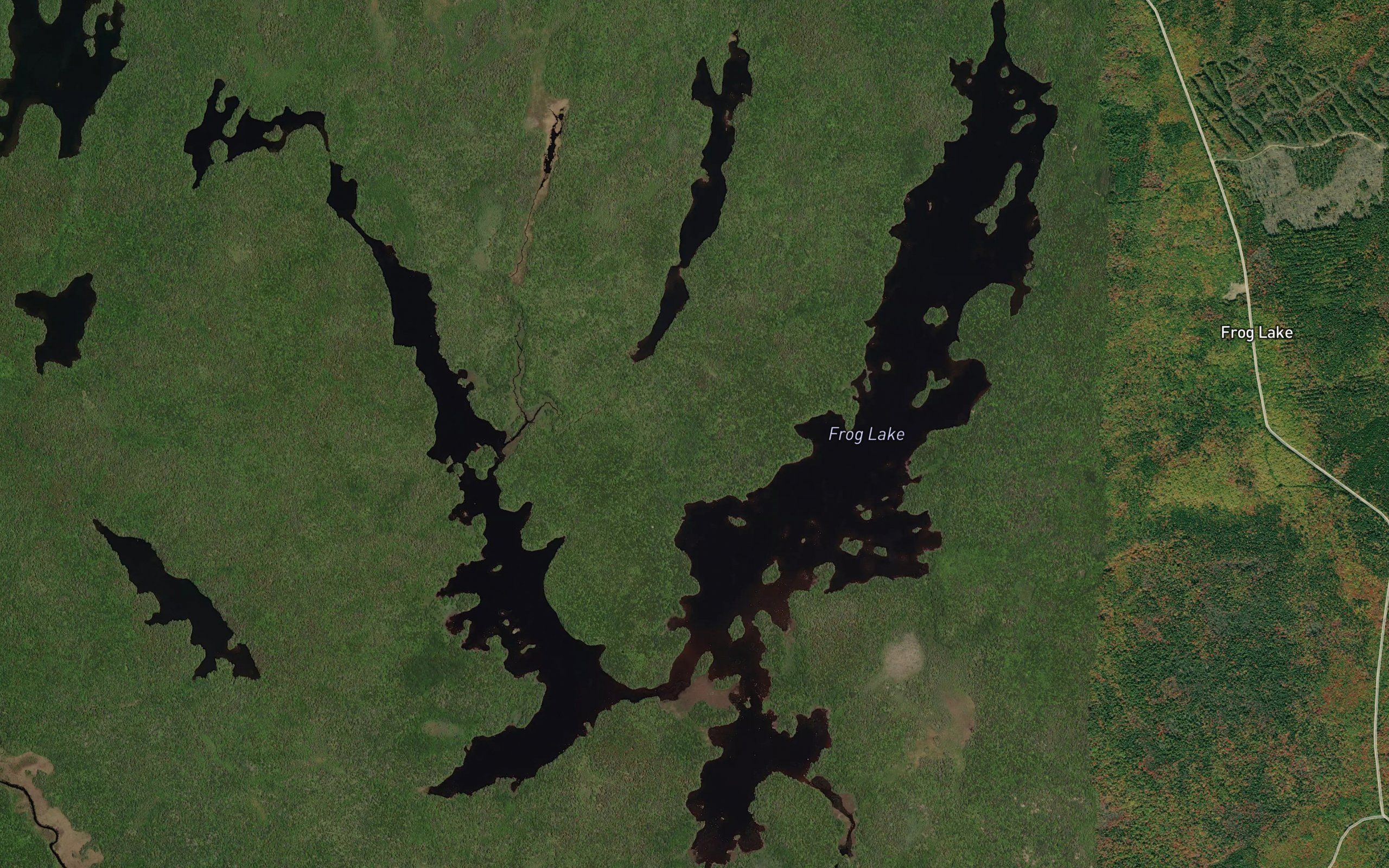 Frog Lake
