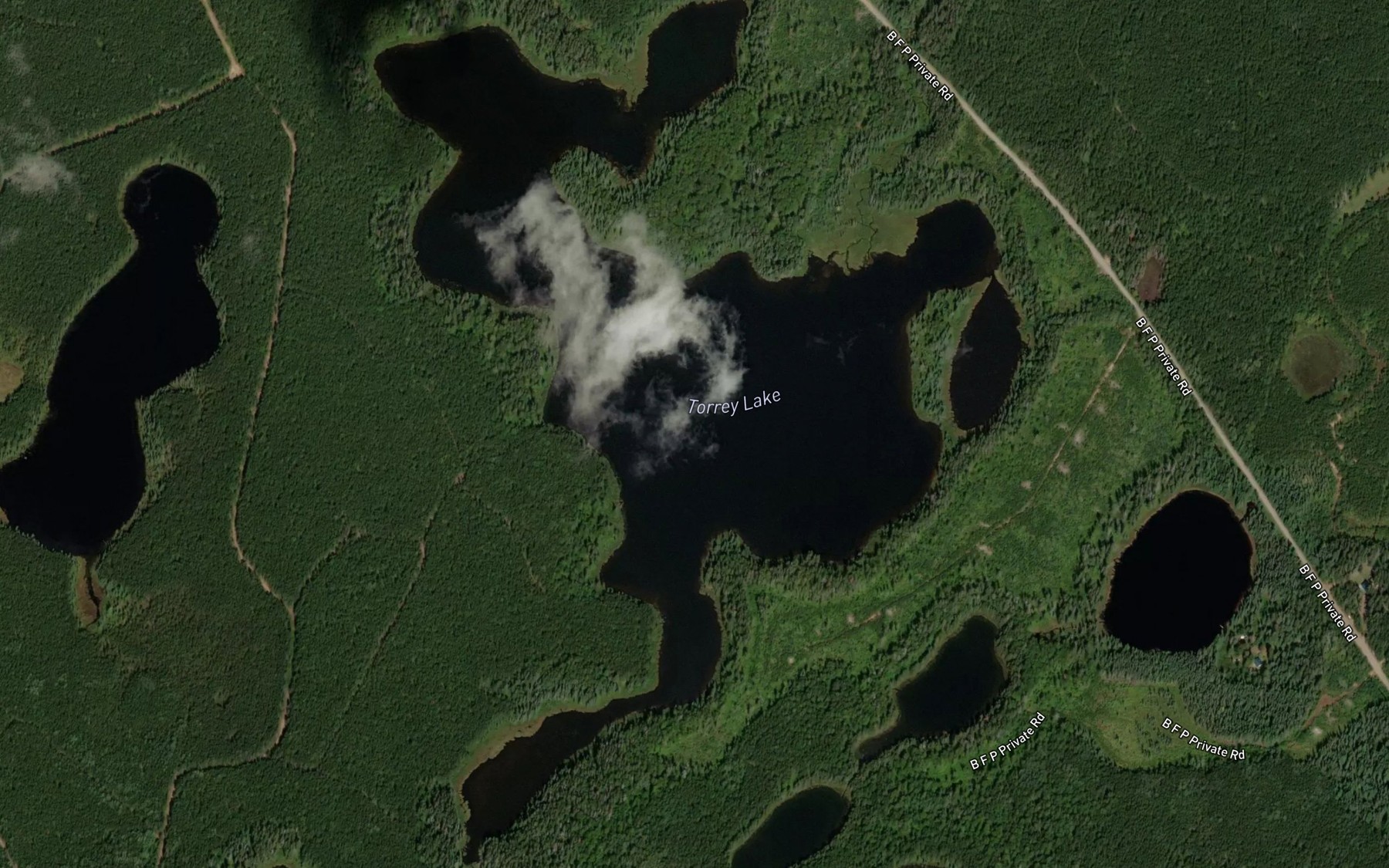 Satellite map of the Torrey Lake