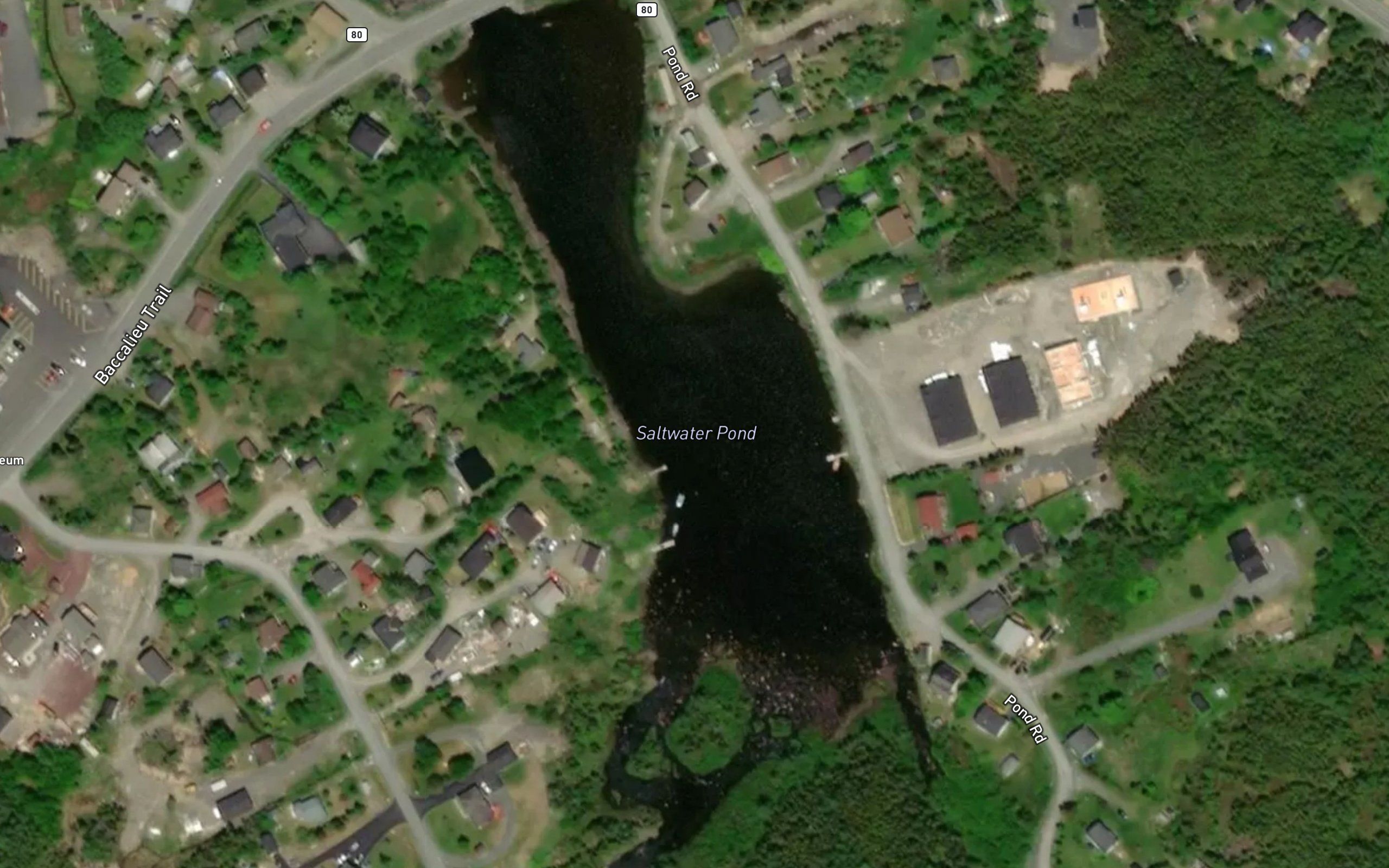 New Harbour Brook