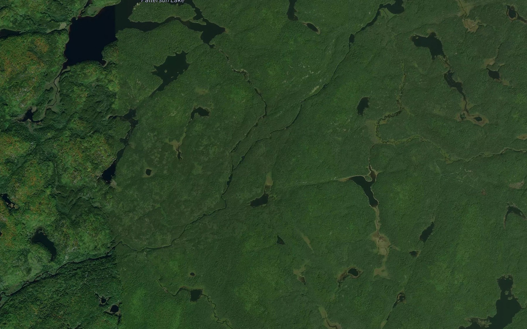 Satellite map of the Patterson Creek